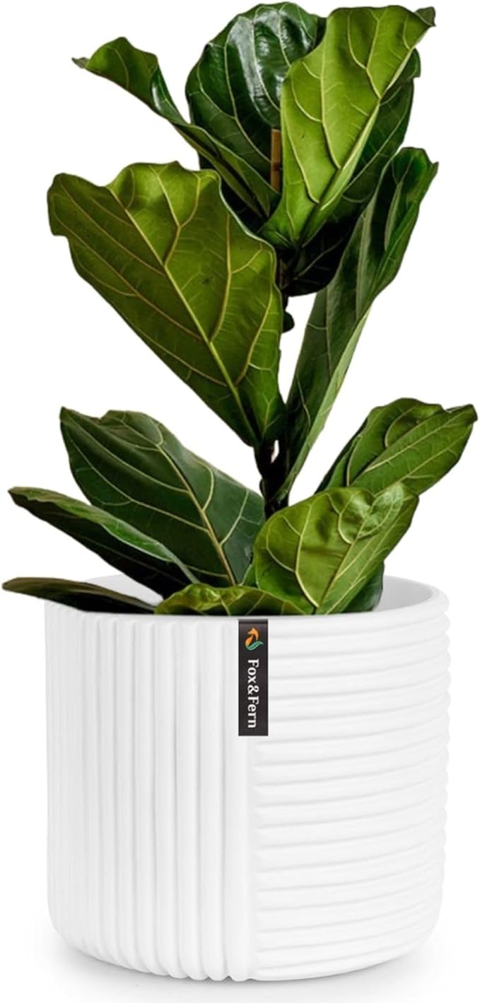 Fox & Fern 10 Inch Plant Pot with Drainage Plug — Premium Polystone White Plant Pot - Modern Planter with 3D Texture and Ceramic Finish - 10 Inch Pots for Plants Indoor & Outdoor