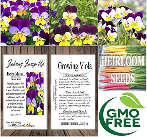 Big Pack - Johnny Jump Up Flower Seeds (20,000 Seeds) - Viola cornuta 'Helen Mount' - Edible Flower Seeds (Big Pack - Johnny Jump Up)