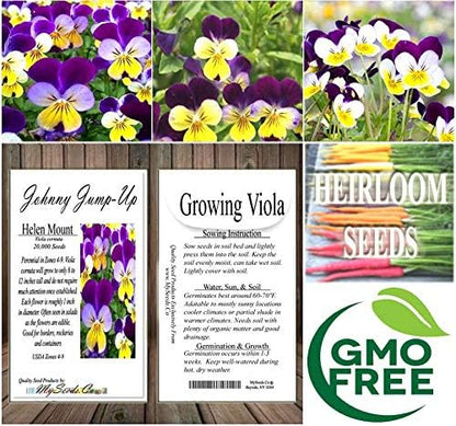 Big Pack - Johnny Jump Up Flower Seeds (20,000 Seeds) - Viola cornuta 'Helen Mount' - Edible Flower Seeds (Big Pack - Johnny Jump Up)
