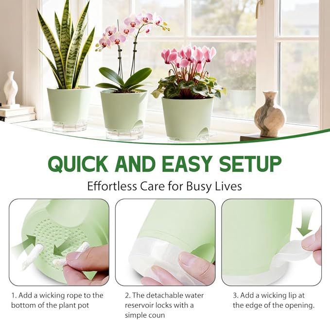 Self Watering Pots for Plants, 2026 New Flower Plant Pots with Drainage Holes, Wicking and Clear Reservoirs for Succulent, Aloe, Cacti and Others - 6 Pack (Green, 6")