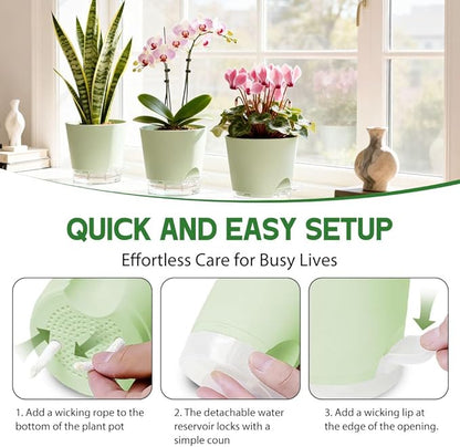 Self Watering Pots for Plants, 2026 New Flower Plant Pots with Drainage Holes, Wicking and Clear Reservoirs for Succulent, Aloe, Cacti and Others - 6 Pack (Green, 4")