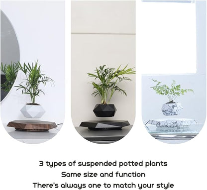 MOOCCI Floating Plant Pot Magnetic Levitating Plant Pot for Succulents, Air Bonsai and Fake Flowers and Plants, Unique Decor for Home, Office and Desk, Father's Day (Brown)
