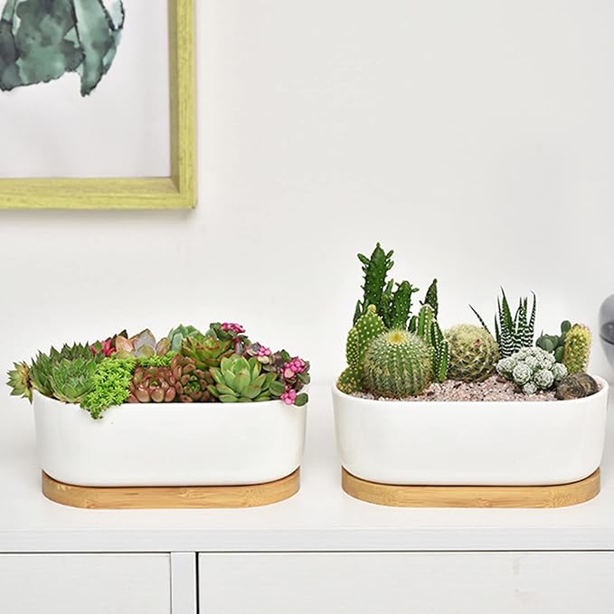 White Ceramic Succulent Plant Pots, Indoor and Outdoor Succulent Planters, Set of 2 Small Cactus Containers, Bonsai Pots, Flower Pots with Drainage Hole and Bamboo Bowl (No Plant)