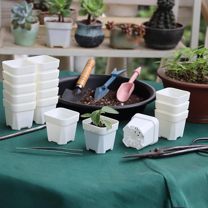 BangQiao 200 Pack 1.95 Inch Tiny White Plastic Square Nursery and Seedling Pot, Mini Transplant Seed Starter Planter with Drain Hole for Germination, Herb, Succulent