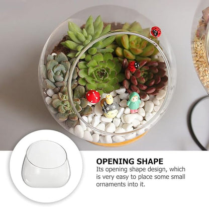 Cabilock 2pcs Transparent Glass Micro Landscape Bottles Multi-Functional Household Storage Holders for Succulents Plants and Home Organization