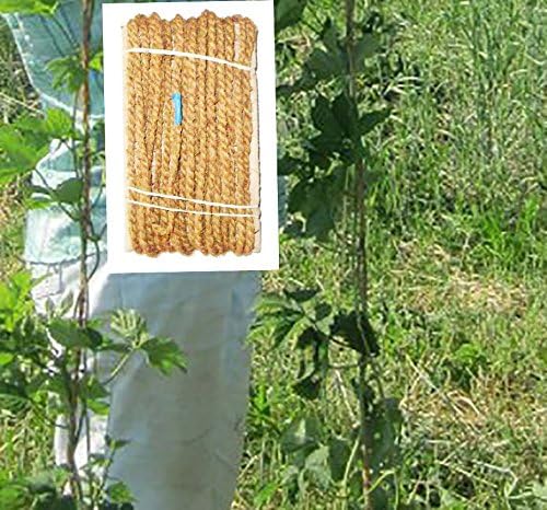 Twine Made of Premium Quality Coconut Fiber (Coir Fiber) Length 30 feet