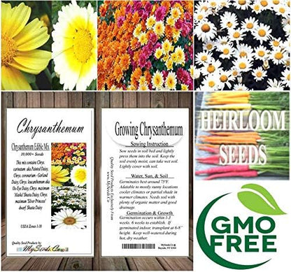 Big Pack - Chrysanthemum Species Mixed Seed (10,000+ Seeds) - Contains Painted Daisy, Garland Daisy, Ox-Eye Daisy, Alaska and Silver- Edible Flower Seeds (Big Pack - Chrysanthemum Mix)