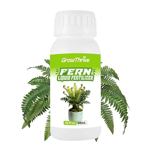 Fern Liquid Fertilizer – Natural Organic Plant Food for Ferns, Indoor & Outdoor Use, 300ml Concentrated Probiotic Formula for Greener Leaves, Strong Roots & Healthy Growth