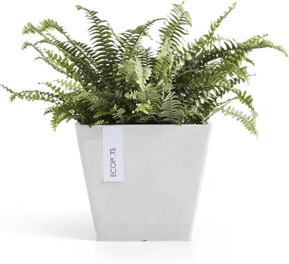 Ecopots Rotterdam Durable Modern Square Indoor/Outdoor Recycled-Based Composite Flower Planter, Pure White, 8"