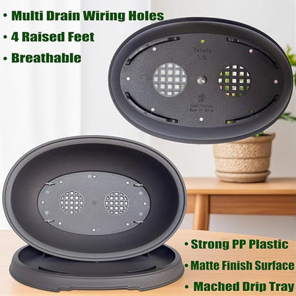 MUZHI 3 Pack Oval Bonsai Training Pot with Drainage Tray, Matte Finish Succulent Growing Pot for Home Garden Plant Outdoor Indoor Container (7.2" Medium)
