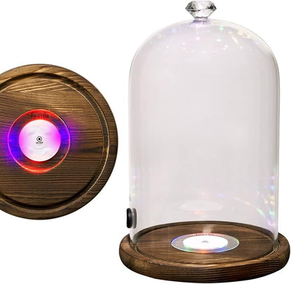 Smoking Gun Accessory LED lights Glass Dome 9" x 5.7" Lid Wooden Base - Glass Smoke infuser Cover Lid for Cocktail Smoker - Dome for Cold Smoke, Smoking Cloche for Drinks