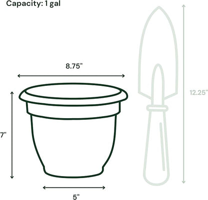 Bloem Ariana 8" Daffodil Round Self-Watering Resin Planter Pot - Rolled Rim Indoor and Outdoor Gardening Planter