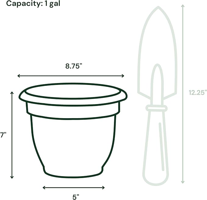 Bloem Ariana 8" Charcoal Round Self-Watering Resin Planter Pot - Rolled Rim Indoor and Outdoor Gardening Planter