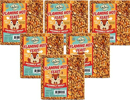 6-Pack of Mr. Bird Flaming Hot Feast Small Wild Bird Seed Cake 4 oz.