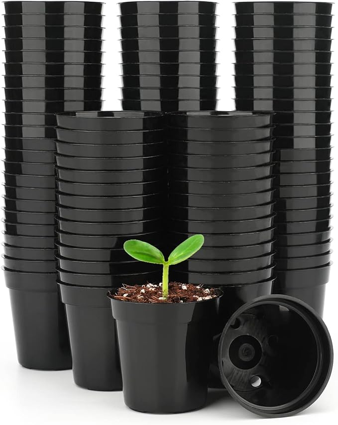 KINGLAKE 2 Inch Plastic Nursery Pots,100 Pcs Seed and Cutting Pots for Succulent Plants (Black)