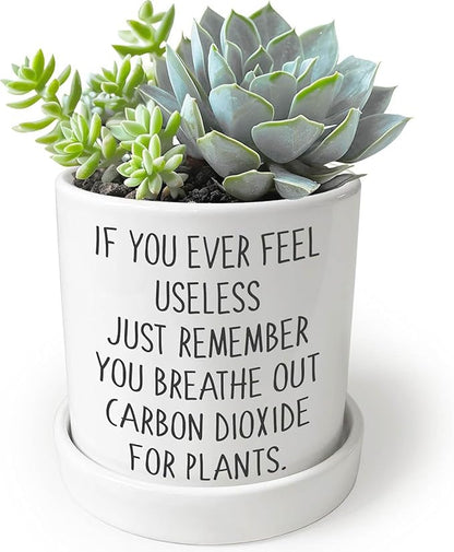 Cute Succulent Pots for Office - If You Ever Feel Useless Just Remember You Breathe Out Carbon Dioxide for Plants, Cute Plant Pots Desk Planter, Funny Pot for Plant