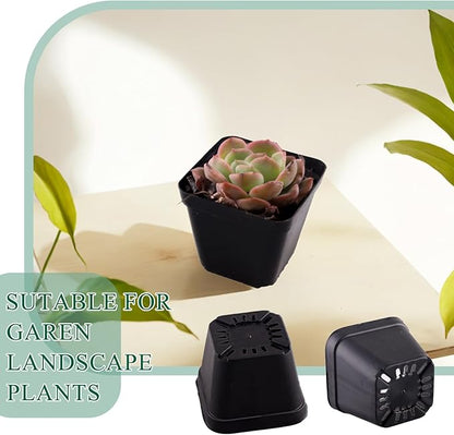 200 Packs Square Nursery Pots for Plants 2.8 Inch Succulent Plant Pots Set Plastic Seedling Starting Pots with Drainage Holes Nursery Pots Variety Pack Flower pots Planter Seed Starter, Black
