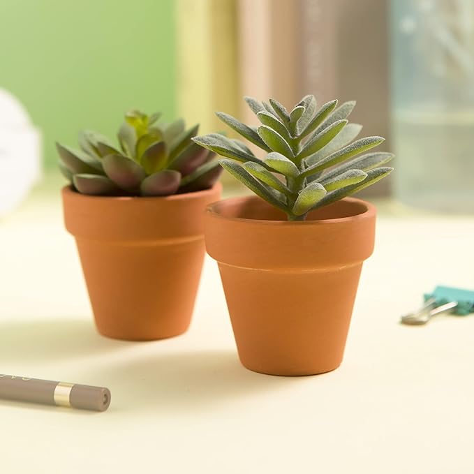 Fcacti 27 Pcs Small Mini Clay Pots 2.1'' Terracotta Pot Clay Ceramic Pottery Planter Cactus Flower Pots Succulent Nursery Pots- Great for Window Boxes, Cactus, Plants, Crafts, Wedding Favors