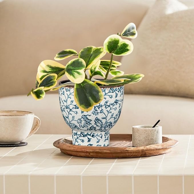 5.5 Inch Vintage Flower Pot, Blue and White Plant Pot Large Ceramic Planters for Indoor Plants Pots with Drainage Retro Planter Pots for Succulents Cactus Herb Snake Plants Outdoor Garden