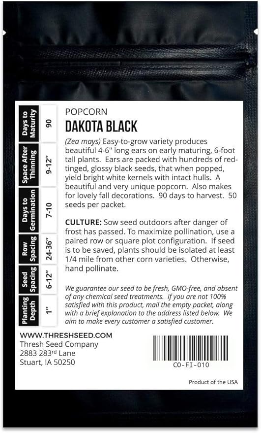 Dakota Black Popcorn - 4oz Bulk (~800 Seeds) - Heirloom & Open-Pollinated Variety, USA-Grown, Non-GMO Corn Seeds for Planting Outdoors in The Home Garden, Thresh Seed Company