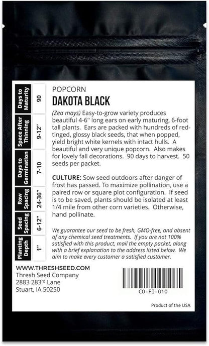Dakota Black Popcorn - 4oz Bulk (~800 Seeds) - Heirloom & Open-Pollinated Variety, USA-Grown, Non-GMO Corn Seeds for Planting Outdoors in The Home Garden, Thresh Seed Company