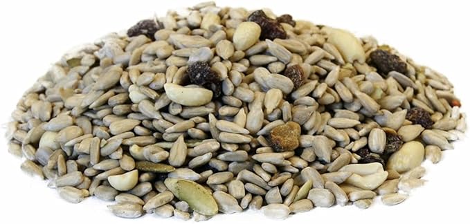 Backyard Seeds Fruit Frenzy No-Waste Bird Seed Mix 20lbs - Premium Blend with Pumpkin Seeds, Cranberries & Pistachios, Small Bag of Wild Bird Food