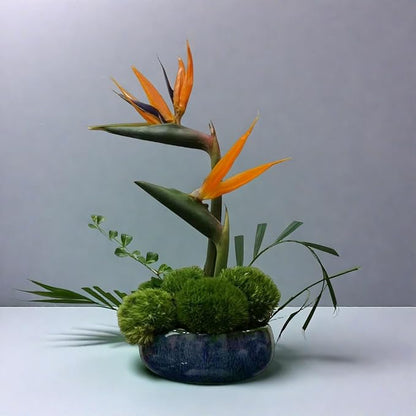 Water Lotus Bowl Planter Kit - Japanese Compote Bowl Ikebana Vase Set w/ 1.8" Floral Frog- Ideal for Ikebana, Flower Arrangement & Hydroponic Planting (Blue)