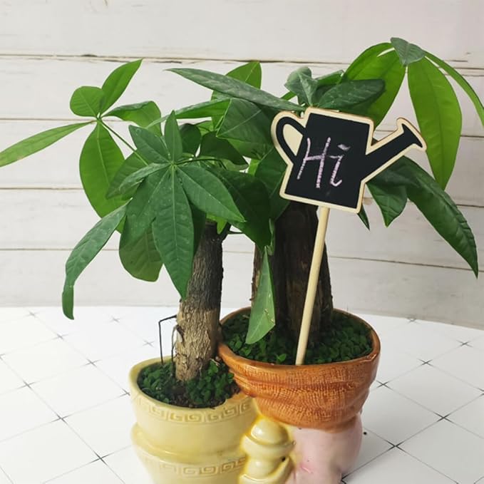 Decoraciones para Salas De Casa Mini Wood Chalkboard Stakes 20pcs Gardening Plant Tags Blackboard Garden Labels Faucet Shaped Yard Stake Flower Tags Plants Sticks for Lawn