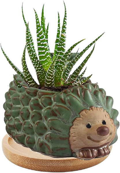 Decorative Ceramic Planter with Bamboo Base Indoor Plant Holder Animal Shaped Ceramic Succulent Pot with Drainage Mini Succulent Plants Cactus Planter (Small Hedgehog)