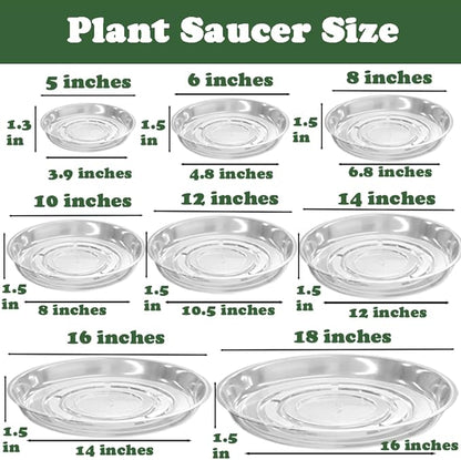 50 Packs 12 Inches Large Clear Plant Saucers for Indoor Outdoor Use Heavy Duty Plastic Plant Trays for Planter Bulk Flower Pot Drip Trays to Catch Water, 4 to 20 Inch