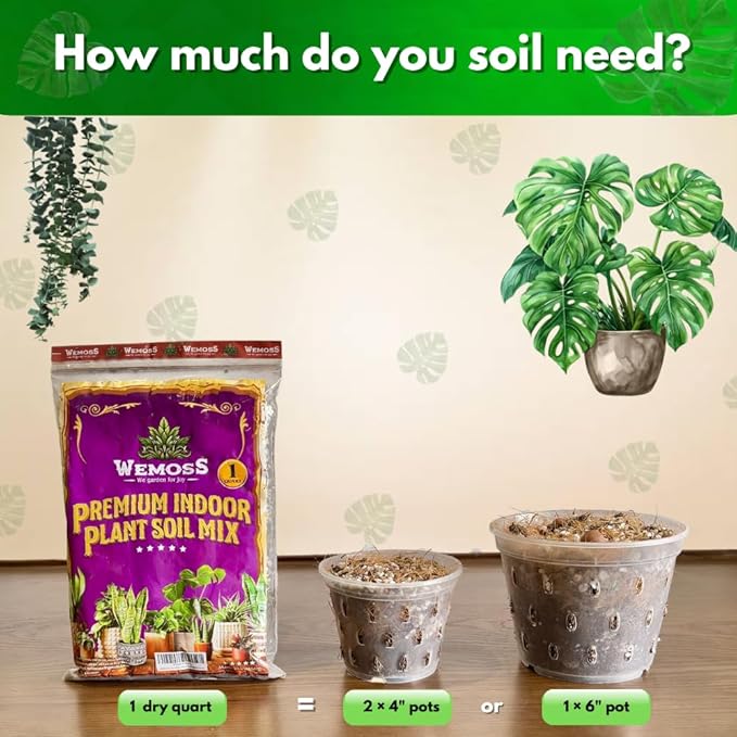 6 in 1 Premium Indoor Plant Potting Soil, Tropical House Plant Potting Mix with Clay Pebbles, Pumice, Coco Fiber, Perlite, Worm Castings, Peat Moss - Ideal for Tropical,Aroid Plants (1 Quart)