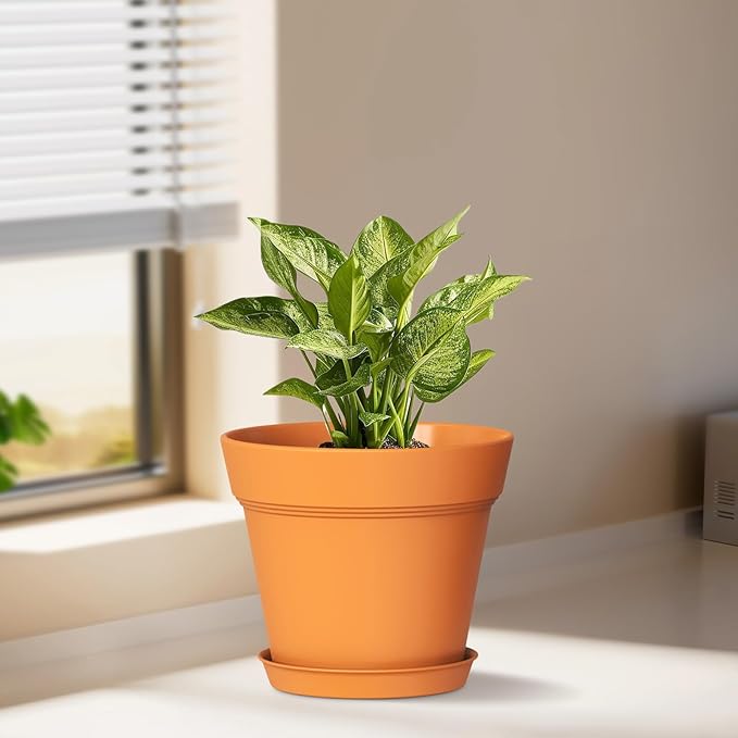 4 Inch Plastic Plant Pots with Drainage Holes and Trays – 8 Pack Small Nursery Pots for Indoor & Outdoor House Plants and Flowers, Seedling Starter Planters, Terracotta