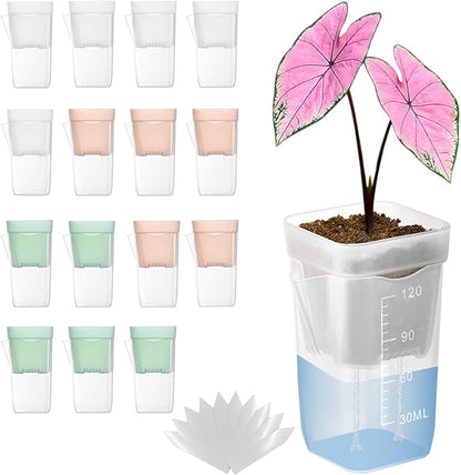 15 Pack 2 inch small self watering pots for indoor plants,semi hydroponic pots for leca and pon,clear plastic plant pot for propagation,seedling,cutting and African violet (muti-color, 2 inch)