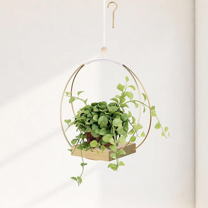 Hanging Planters for Indoor Plants - Plant Hanger Outdoor, Metal Plant Hanger Mid Century Boho Macrame, Hanging Wall Ceiling Window, Gift for Mom, Plant Lovers, Housewarming