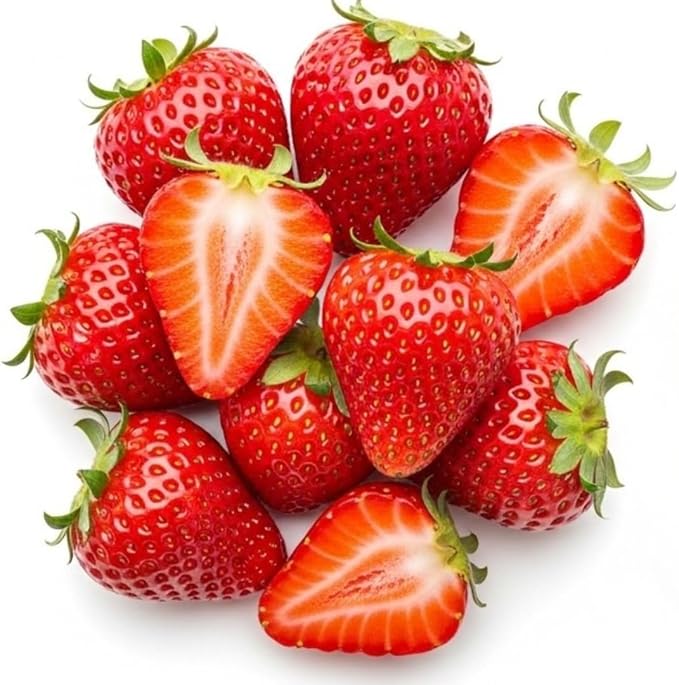 1,000 Strawberry Seeds for Planting – Perpetual Four Seasons Strawberry Seeds | Continuous Harvest for Home Gardens