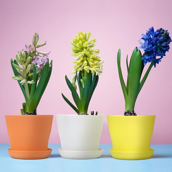 20 Pack Plastic Planters 4 Inch Plant Flower Pot with Trays, Seedlings Nursery Pots Planter Flower Container Seed Pots for Seedling, Transplanting, Cutting, Assorted 10 Colors