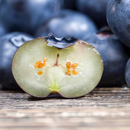 200+ Blueberries Seeds Organic-Blueberry Seeds Non GMO Fruit Tree Berry Seed-Blue Berries Seed Heirloom for Planting Outdoors