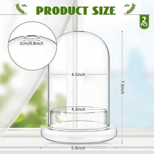 2 Pcs 5.9 x 7.9 Inch Glass Terrarium Clear Terrarium Planter Container Glass Dome Cloche with Airhole and Base for Plant Flower Home Tabletop Display Centerpiece, Plants Not Included