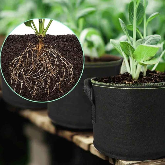 jecengs 6-Pack 5 Gallon Non-Woven Thickened Plant Grow Bag, High-Intensity Transplanting Seedling Pot with Handle Black