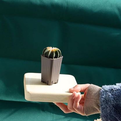 BangQiao 180 Pack 1.95 Inch Tiny Gray Plastic Square Nursery and Seedling Pot, Mini Deep Transplant Seed Starter Planter with Drain Hole for Germination, Herb, Succulent