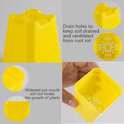 foxany 3" Plants Nursery Pot, 30 Pcs Thick Plastic Square Yellow Planting Pots, Plant Seedling Pots, Seed Starting Pots with Saucers - Yellow