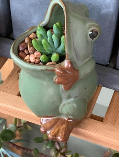 Ceramic Succulent Plant Pot Cactus Plant Pot Flower Pot Container Planter with Drainage Hole Home Office Desk Garden Gift Idea Animal Shaped Flower Pot Cute Vase Pot (Large Frog)