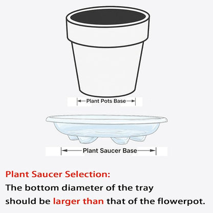 Plant Saucer 12 inch, 6 Pack of Clear Plant Drip Trays, Plant Plates to Catch Water Indoor Plants, Plant Drainage Tray for Planters