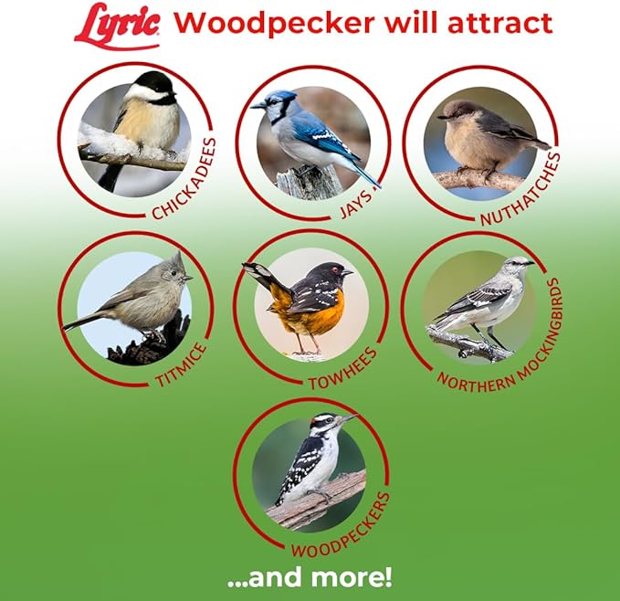 Lyric Woodpecker Wild Bird Seed for Outside Feeders, Shelled, No Waste Bird Seed with Nuts & Dried Fruit, 20 lb Bag