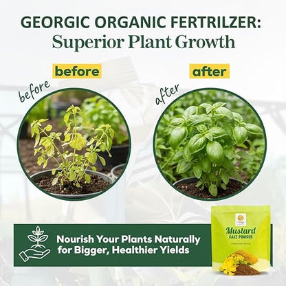 Natural Mustard Oil Cake Powder As Fertilizer for All-Purpose Fertilizer Concentrate for Flower, Vegetable, Herb, Fruit Tree (Pack of 2-6 LB)
