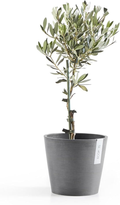 Ecopots Amsterdam Durable Modern Round Indoor/Outdoor Recycled-Based Composite Flower Pot Planter, Grey, 8"