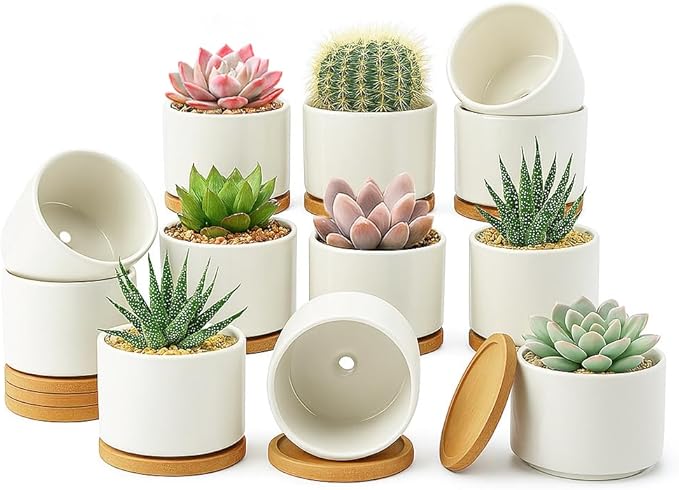 ZOUTOG 12 Pack Ceramic Succulent Pots,3.6 Inch Plant Pots,Succulent Planters with Drainage Hole & Bamboo Tray for Indoor Plants,White Small Flower Planters for Home,Office,Desk