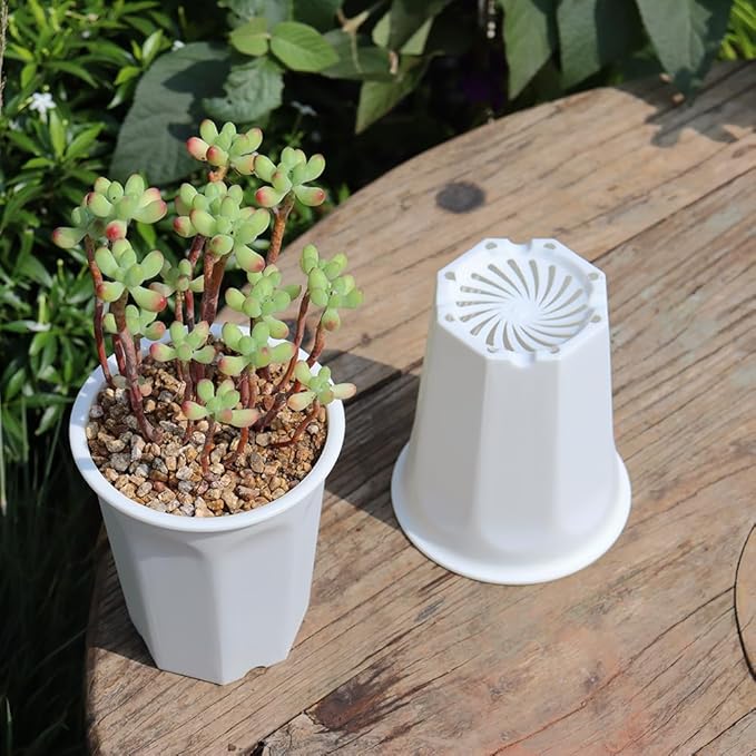 BangQiao 14 Pack 4.40 Inch White Plastic Deep Nursery and Seedling Pots, Round Planter Container for Transplanting, Cutting, Succulent