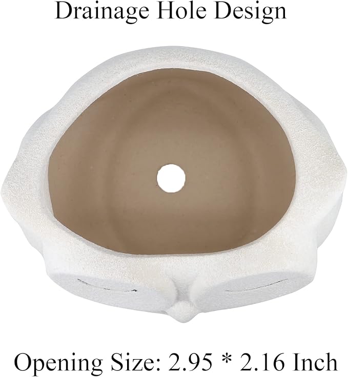 Cute Owl Succulent Planter Pot with Drainage Tray, Large White Ceramic Flower Cactus Container, Animal Shaped Indoor Air Plants Holder