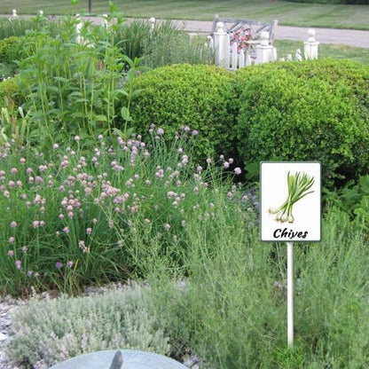FemiaD Plant Label Signs Planted Herb Garden Markers Waterproof Aluminum Plant Stake Tags Chives Sign for Nursery Indoor Outdoor Garden Decoration 4.6x6inch
